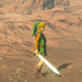 Link holding the Sword while wearing the Hero Set