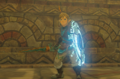 Link wielding a Captain I Reaper