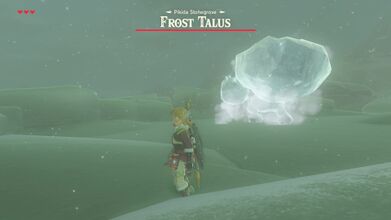 Fighting a Frost Talus.