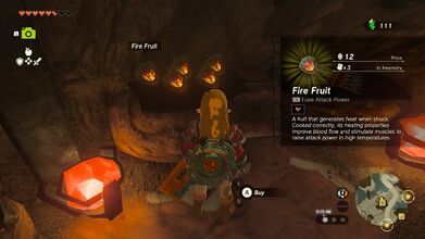 Fire Fruit for sale in Tears of the Kingdom