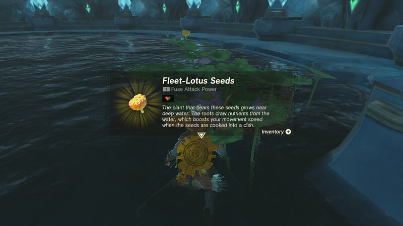 File:TotK Fleet Lotus Seeds.jpg