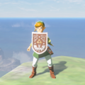 Link holding the Hero's Shield while wearing the Hero of Winds Set