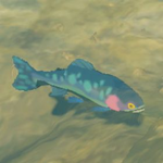 Hyrule-Compendium-Chillfin-Trout.png