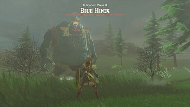 Fighting a Blue Hinox in Tears of the Kingdom