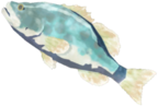 Frozen Hearty Bass - TotK icon.png