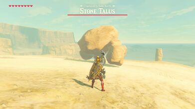 Fighting a Stone Talus.