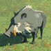 Red-Tusked Boar - TotK Compendium.png