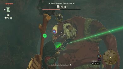 Aim an Arrow at the eye of the Hinox to stun him