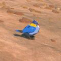 Blue Sparrow