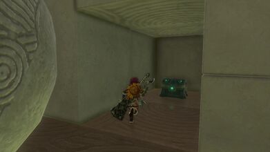 A treasure chest is behind the wall containing five Bomb Flowers