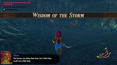 Wisdom-of-the-Storm.jpg