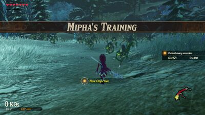 Miphas-Training.jpg