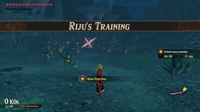 Rijus-Training.jpg