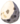 Bird Egg - TotK icon.png