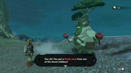 After obtaining one Korok Seed