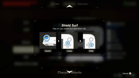 Shield Surf - BotW Wii U.jpg
