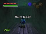 The entrance to the Water Temple