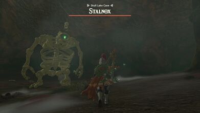 Fighting a Stalnox in Skull Lake Cave