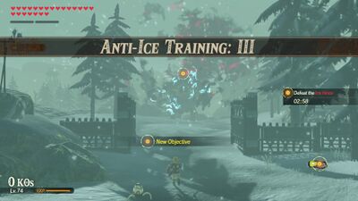 Anti-Ice-Training-III.jpg