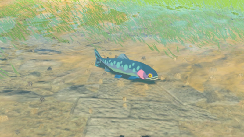File:Chillfin Trout - TotK Compendium Full.png