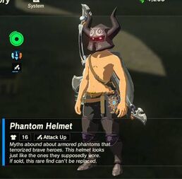 Phantom Helmet.jpg