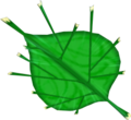 Deku Leaf