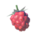 Wildberry.png