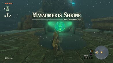 Link reaching the shrine
