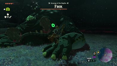 Link will encounter a Frox along the way