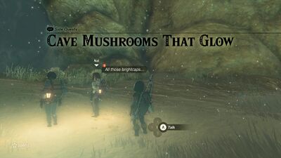 Cave-Mushrooms-That-Glow-2.jpg