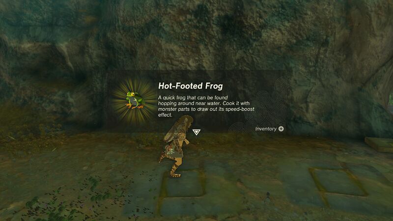 File:TotK Hot Footed Frog.jpg