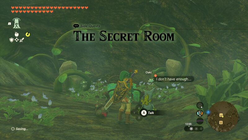 File:The Secret Room - TotK.jpg
