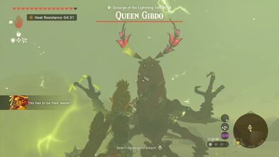 Use Riju's lightning to shoot an arrow at Queen Gibdo
