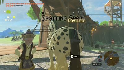 Spotting Spot Complete - TotK.jpg