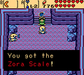 Link obtaining the Zora Scale
