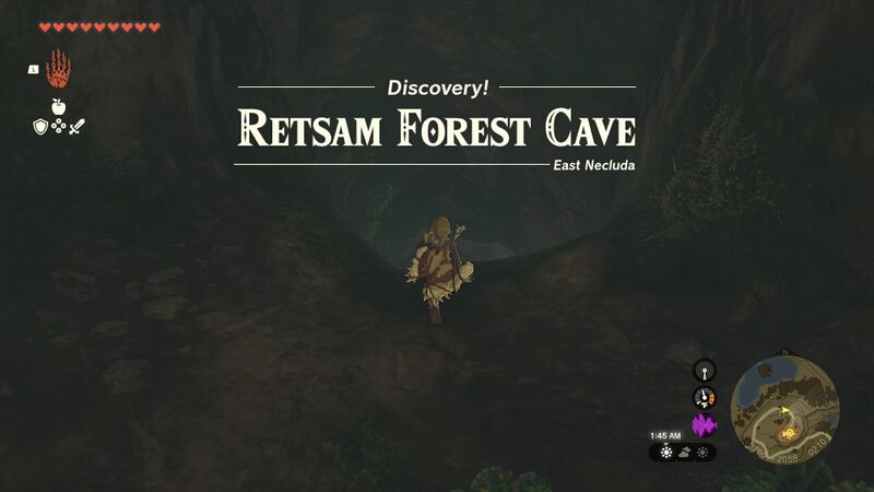 File:Retsam-Forest-Cave.jpg