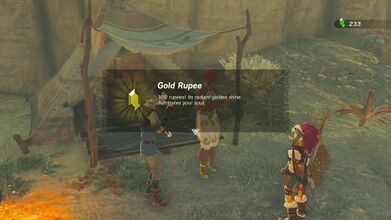 She will create a medicine for Platt and reward Link with a Gold Rupee