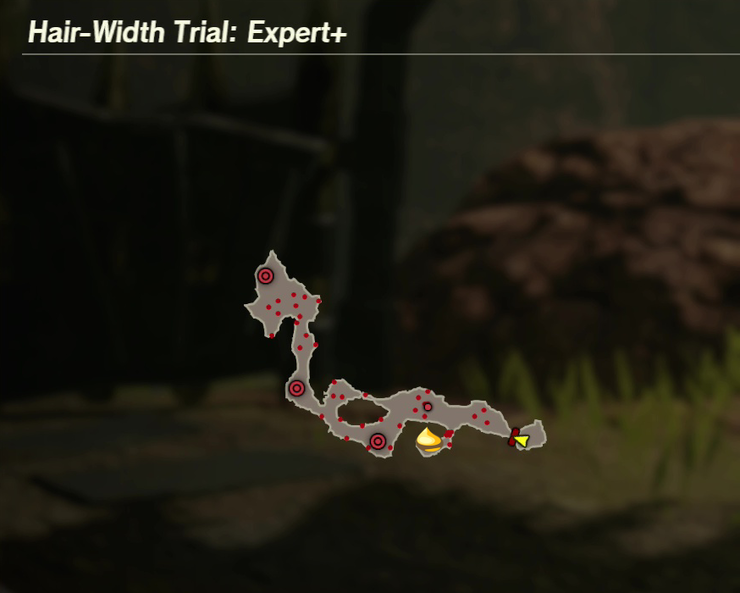 There is 1 Korok found in Hair-Width Trial: Expert+.