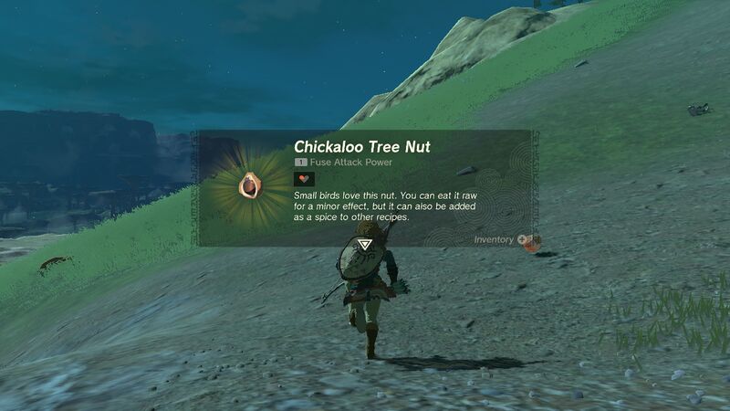 File:TotK Chickaloo Tree Nut.jpg