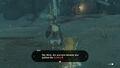 Link talking to Nekk in Tears of the Kingdom