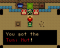 Link receiving the restored Tuni Nut from Patch