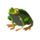 Hot-footed-frog.png