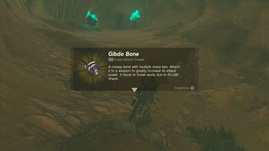 Link picking up a Gibdo Bone