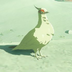 Hyrule-Compendium-White-Pigeon.png