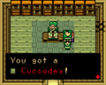 Link collecting the Cuccodex inside the Biologist's Home