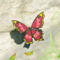 Breath of the Wild Hyrule Compendium picture of the Summerwing Butterfly.
