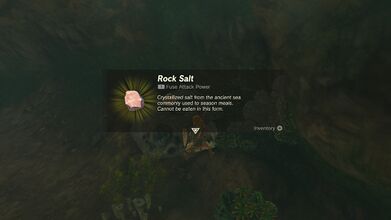 Link picking up Rock Salt in Tears of the Kingdom