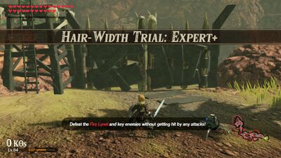Hair-Width-Trial-Expert+.jpg