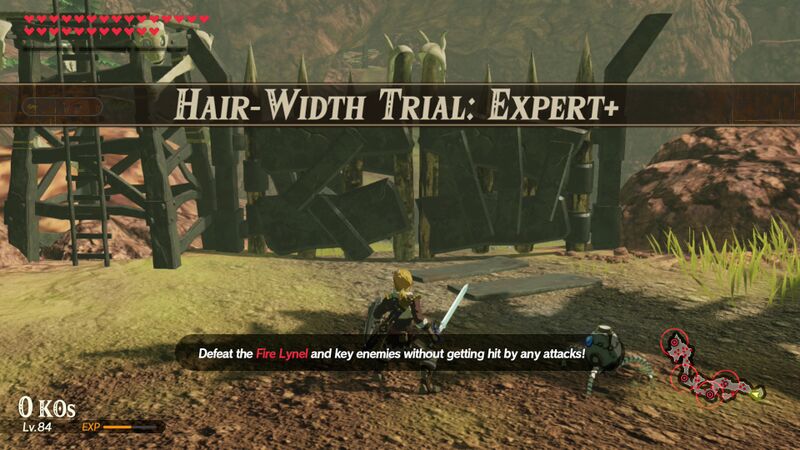 File:Hair-Width-Trial-Expert+.jpg