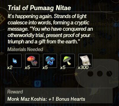 Trial-of-Pumaag-Nitae.jpg